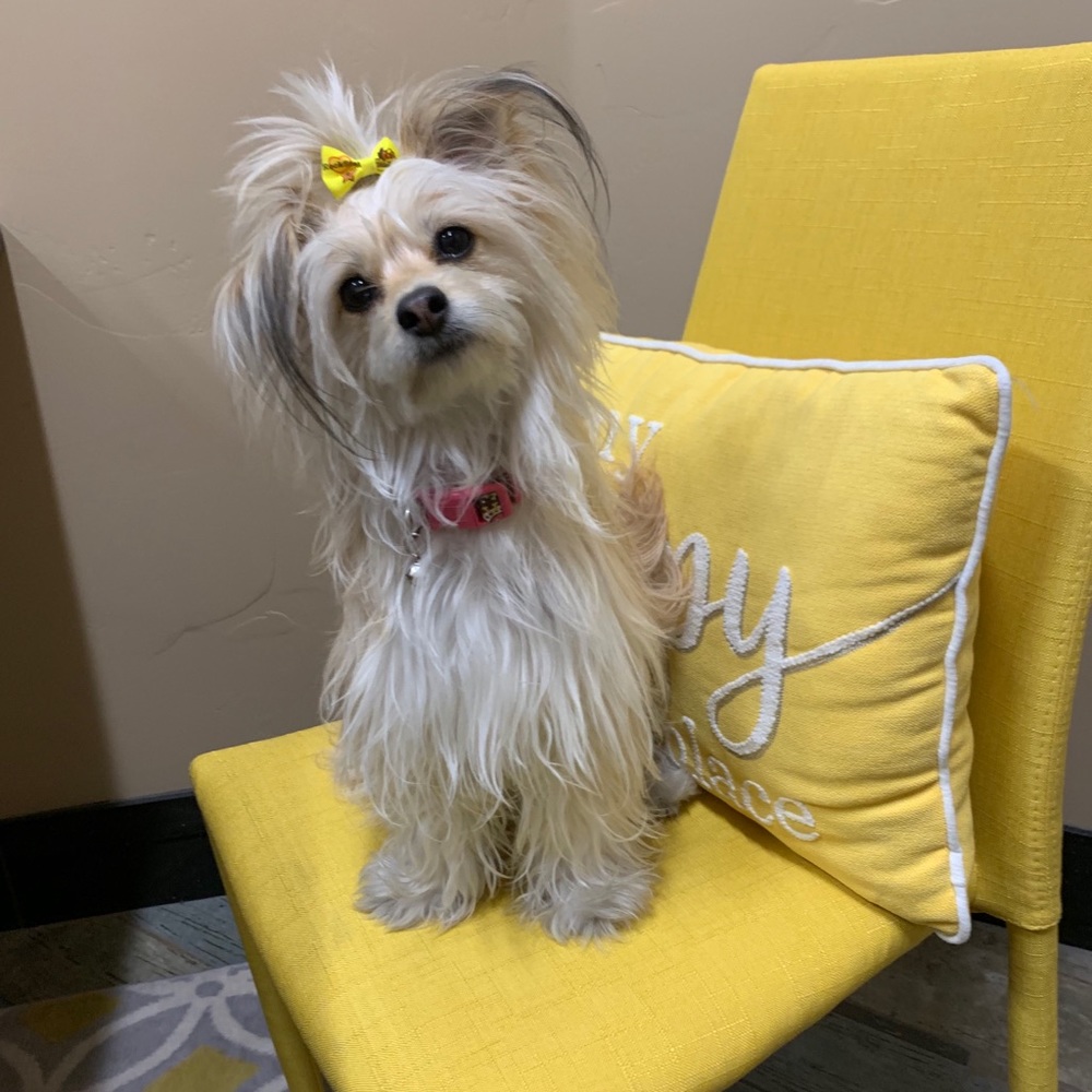 Meet your Posher, Teresa